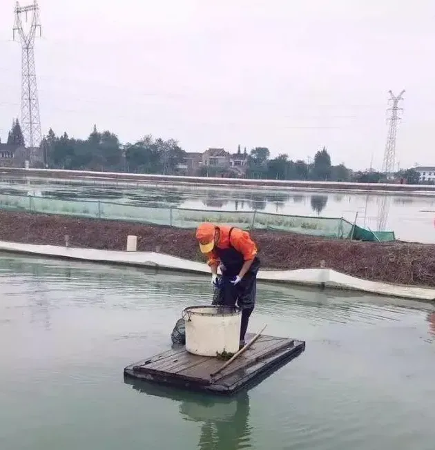 一亩蟹塘卖两万块螃蟹的金坛养蟹少年，到底有何不同呢？