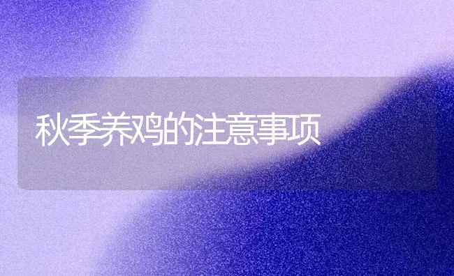 秋季养鸡的注意事项 | 家禽养殖