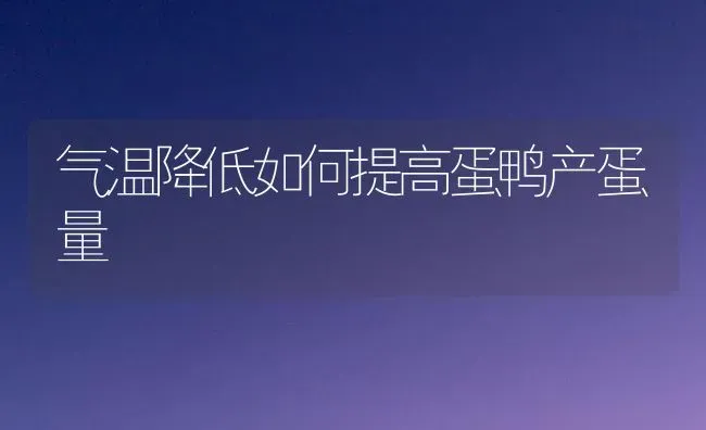 气温降低如何提高蛋鸭产蛋量 | 家禽养殖