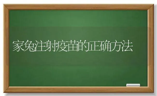 家兔注射疫苗的正确方法 | 家畜养殖