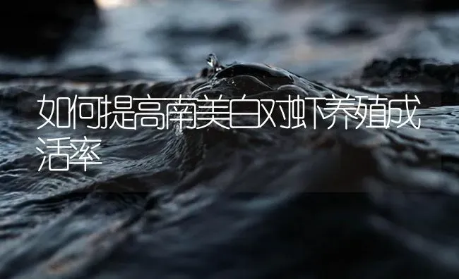 如何提高南美白对虾养殖成活率 | 海水养殖
