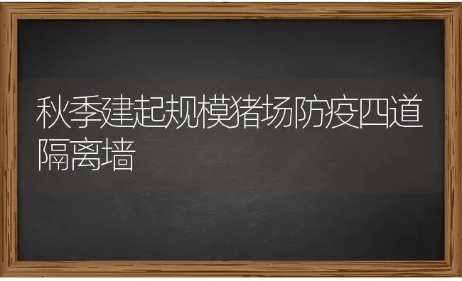 秋季建起规模猪场防疫四道隔离墙 | 家畜养殖