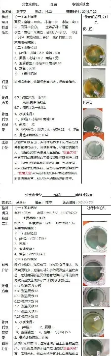 河蟹养殖中弧菌病的产生原因和相应的预防方案