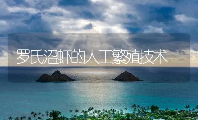 罗氏沼虾的人工繁殖技术 | 海水养殖