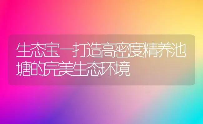 生态宝—打造高密度精养池塘的完美生态环境 | 养殖病虫害防治
