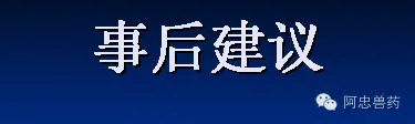 笋壳鱼养殖户如何造就三年不发病？