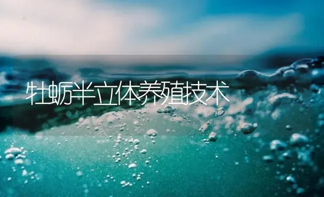 牡蛎半立体养殖技术 | 海水养殖