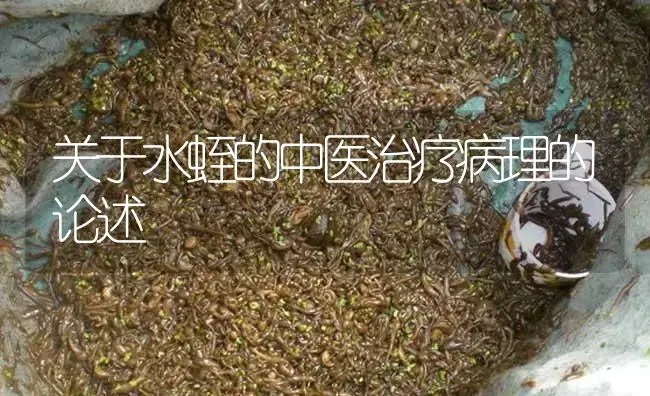 关于水蛭的中医治疗病理的论述 | 特种养殖
