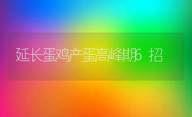 延长蛋鸡产蛋高峰期6招 | 家禽养殖