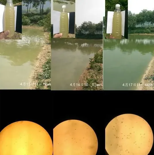 【厂家测评】海联科底倍康大塘实际应用效果验证