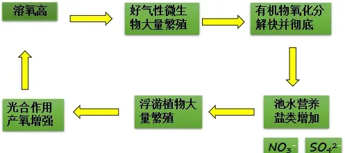 池塘溶氧介绍及预防泛池解决方案