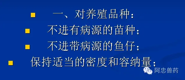 笋壳鱼养殖户如何造就三年不发病？