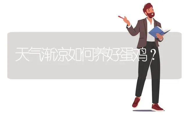 天气渐凉如何养好蛋鸡？ | 家禽养殖