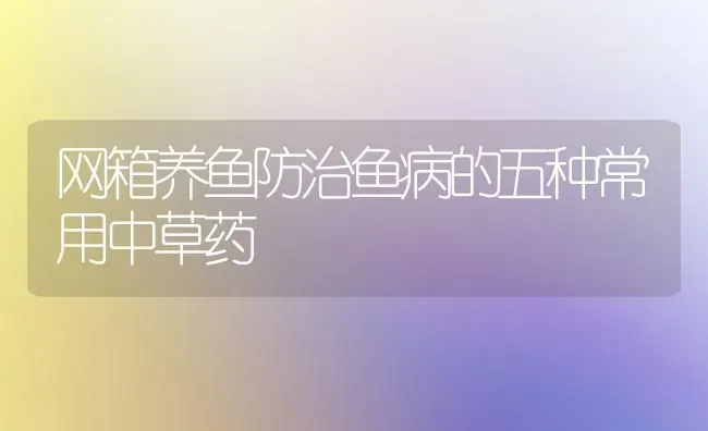 网箱养鱼防治鱼病的五种常用中草药 | 养殖病虫害防治