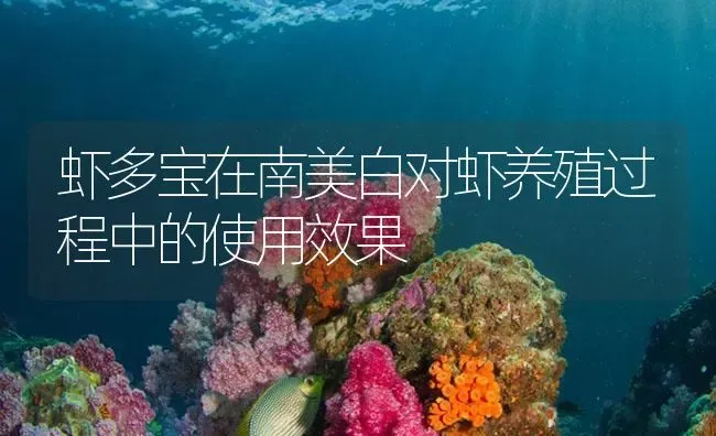 虾多宝在南美白对虾养殖过程中的使用效果 | 海水养殖