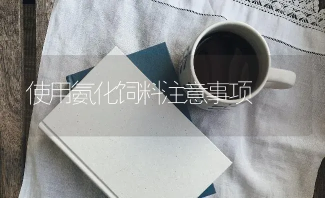 使用氨化饲料注意事项 | 动物养殖饲料