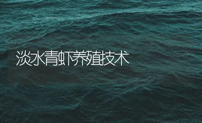 淡水青虾养殖技术 | 海水养殖