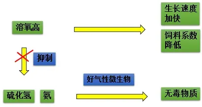 池塘溶氧介绍及预防泛池解决方案