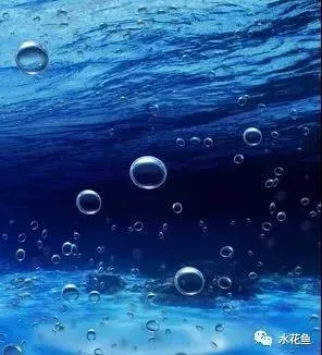 【水产养殖百科】水的深浅与溶氧量的关系