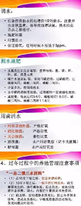 应对“春季斑点叉尾鮰爆发性死亡”疫情，过冬的技术措施有哪些？