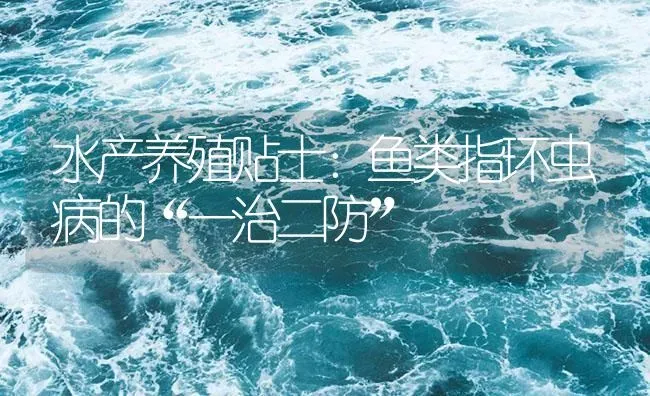 水产养殖贴士：鱼类指环虫病的“一治二防” | 养殖病虫害防治