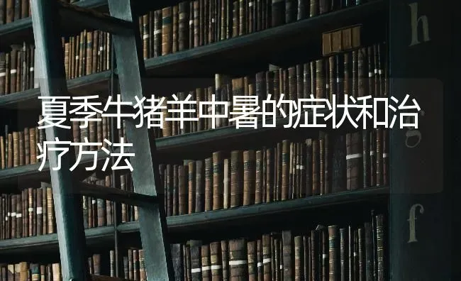夏季牛猪羊中暑的症状和治疗方法 | 家畜养殖