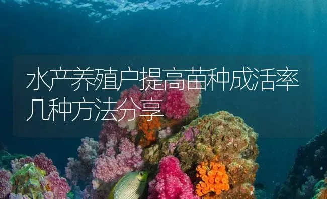 水产养殖户提高苗种成活率几种方法分享 | 淡水养殖