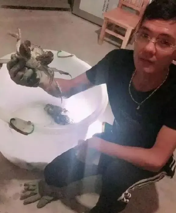一亩蟹塘卖两万块螃蟹的金坛养蟹少年，到底有何不同呢？