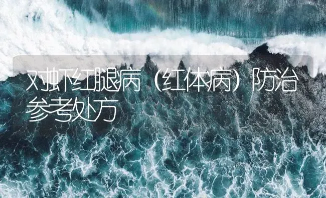 对虾红腿病（红体病）防治参考处方 | 海水养殖