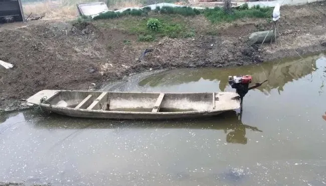 浅析河蟹塘泥皮和水草挂脏的问题