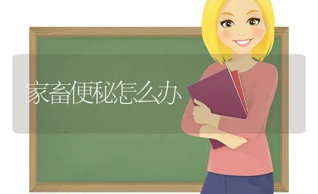 家畜便秘怎么办 | 家畜养殖