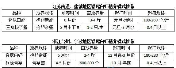 脊尾白虾养殖模式及如何选择饲料投喂饲料