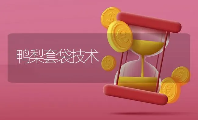 鸭梨套袋技术 | 家禽养殖