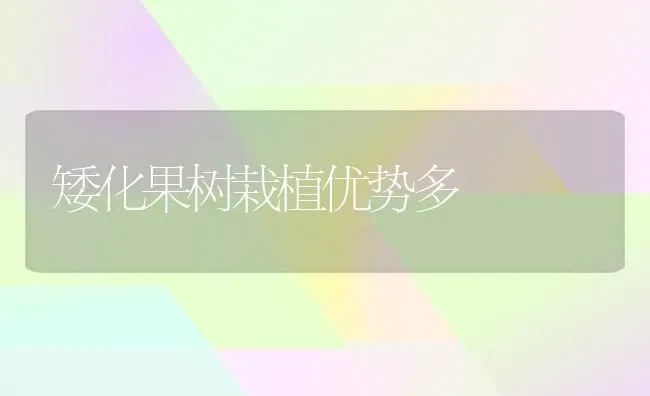 综合防治羊痘的措施 | 家畜养殖