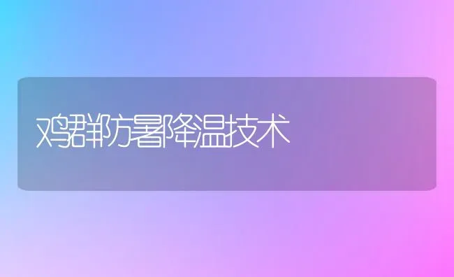 鸡群防暑降温技术 | 家禽养殖