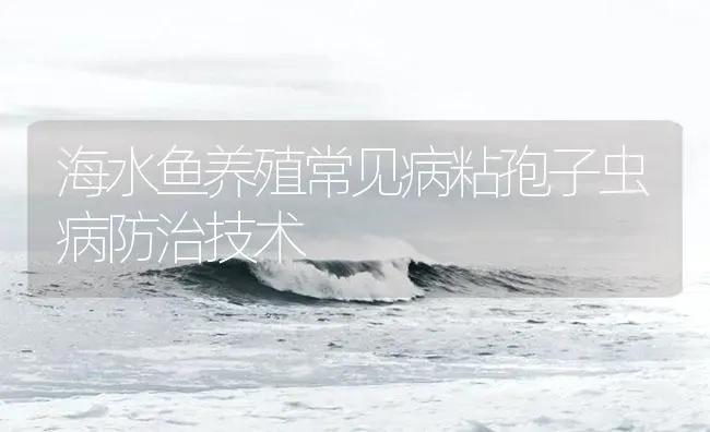 海水鱼养殖常见病粘孢子虫病防治技术 | 养殖病虫害防治