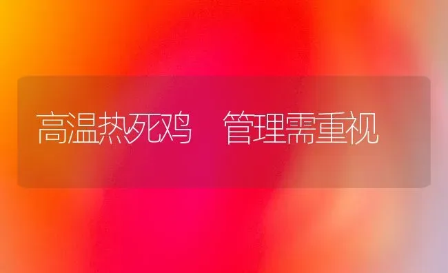 高温热死鸡 管理需重视 | 家禽养殖