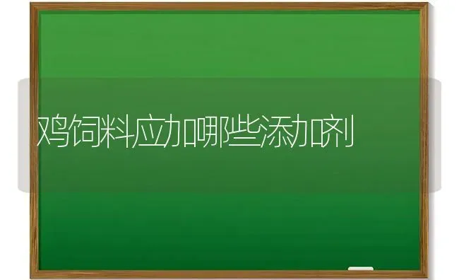 鸡饲料应加哪些添加剂 | 家禽养殖