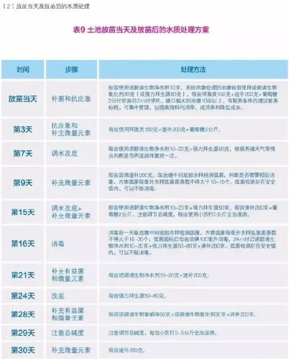 南美白对虾养殖户如何做好放苗保苗工作