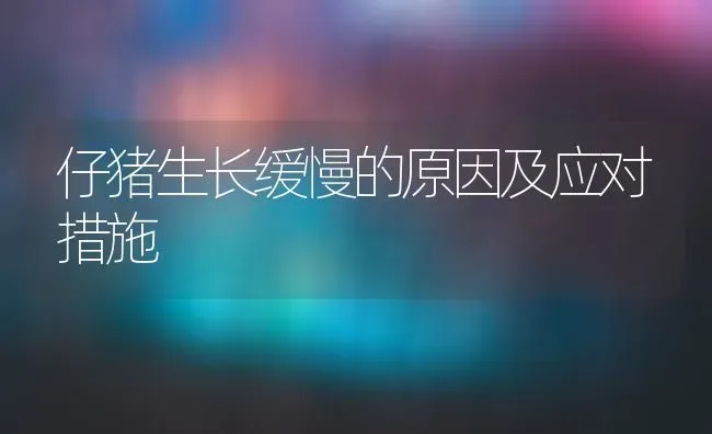 仔猪生长缓慢的原因及应对措施 | 家畜养殖