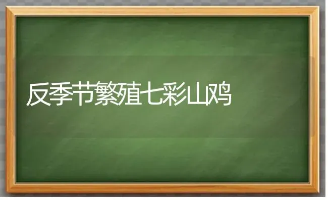 反季节繁殖七彩山鸡 | 家禽养殖