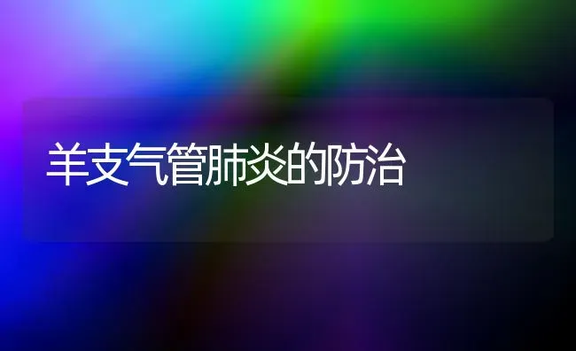 羊支气管肺炎的防治 | 家畜养殖