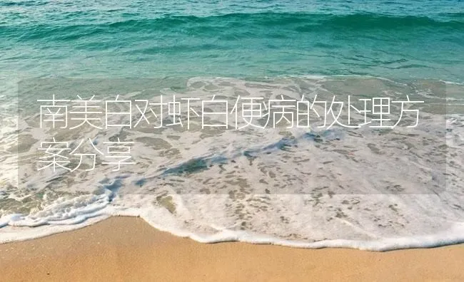 南美白对虾白便病的处理方案分享 | 海水养殖