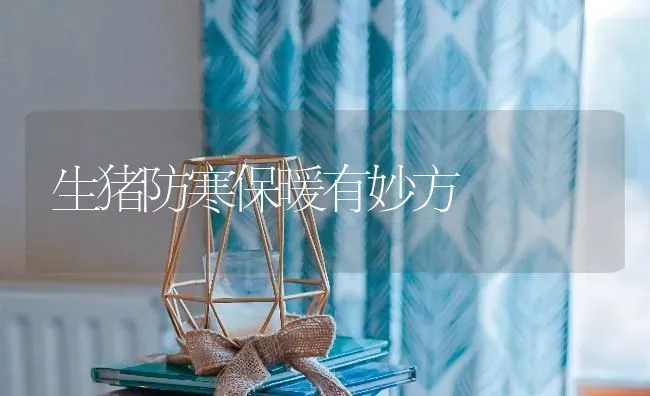 生猪防寒保暖有妙方 | 家畜养殖