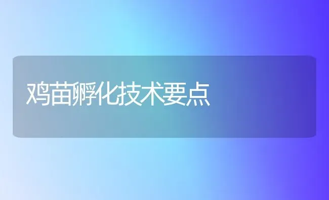 鸡苗孵化技术要点 | 家禽养殖