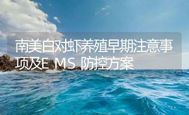 南美白对虾养殖早期注意事项及EMS防控方案 | 海水养殖