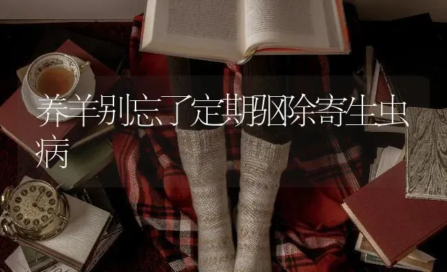 养羊别忘了定期驱除寄生虫病 | 家畜养殖