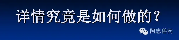 笋壳鱼养殖户如何造就三年不发病？