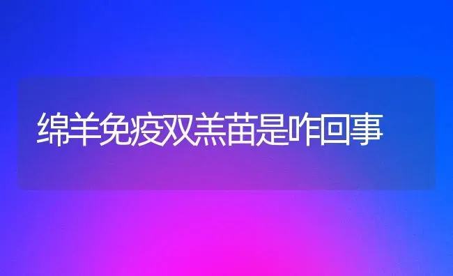 绵羊免疫双羔苗是咋回事 | 家畜养殖