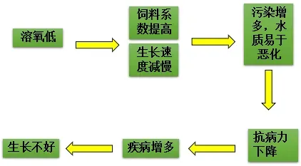 池塘溶氧介绍及预防泛池解决方案